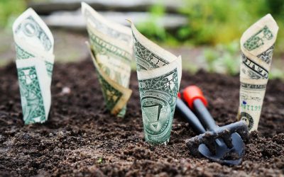 Should I invest through Boutique Fund Managers?